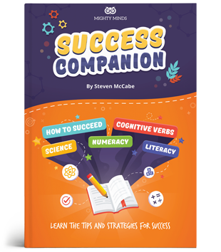 Success Companion cover