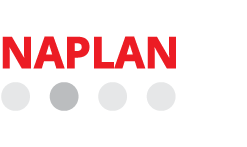 NAPLAN workshop icon2